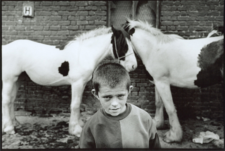 02  1Smithfield horses market Dublin