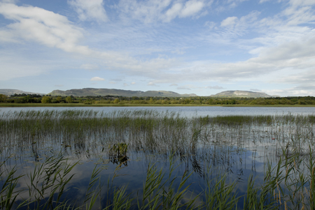 23 Lanscape sligo Irlande 3