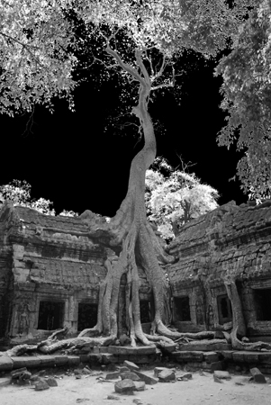 28 Paysage  Angkor wat Cambodge