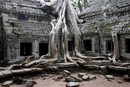 77 Paysage 2 cambodge